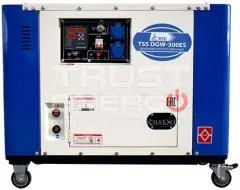 Сварочный генератор ТСС DGW-300ES