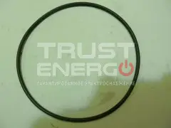 Кольцо уплотнительное гильзы TDS 555 12VTE/O-Seal